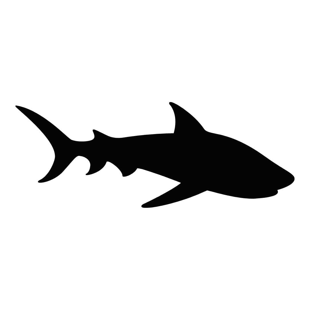 Fischer Angler Raubfische Aufkleber